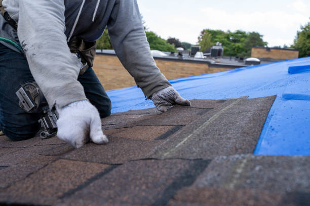 Best Storm Damage Roof Repair  in Wlowbrook, IL